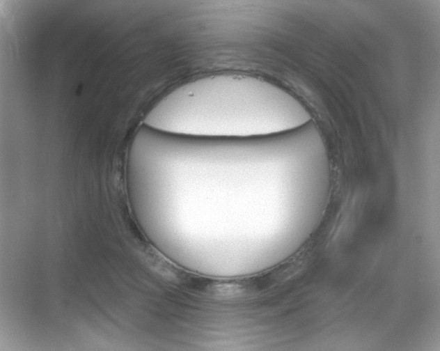 X0000069360361200605120922
