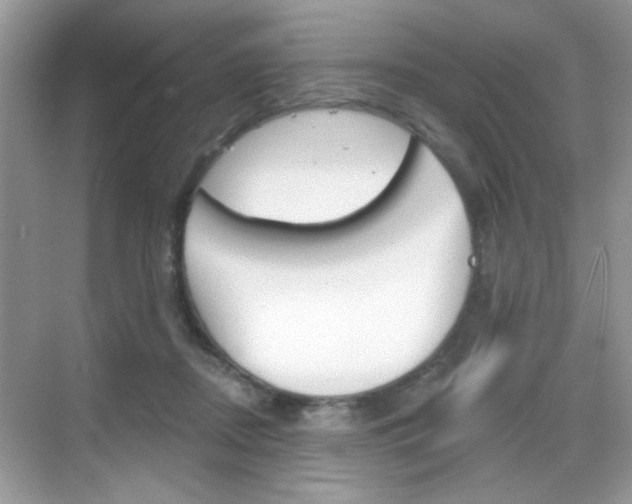X0000069360362200605120922