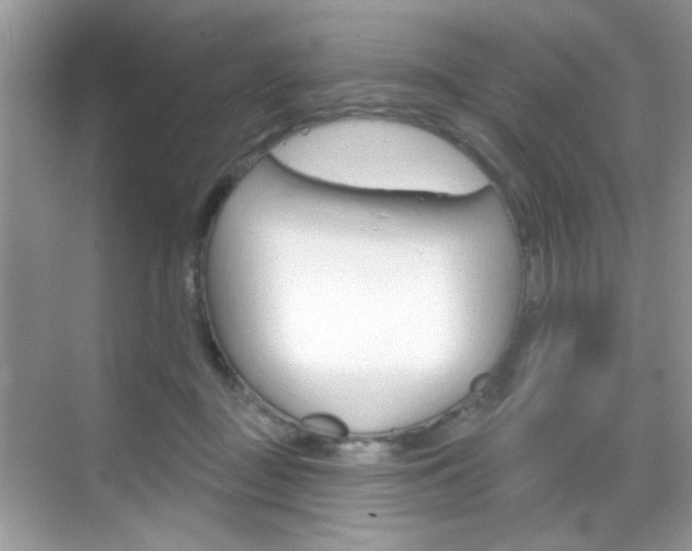 X0000069360363200605120922