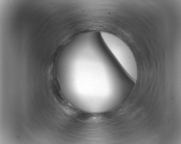 X0000069360364200605120922