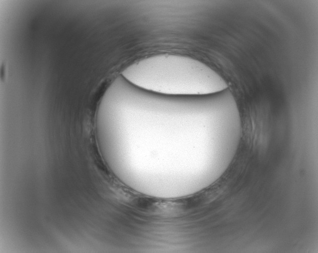 X0000069360367200605120922