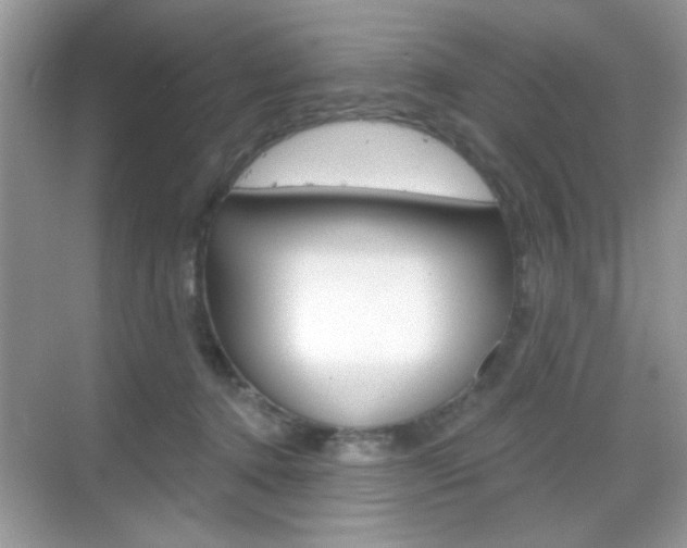 X0000069360368200605120922