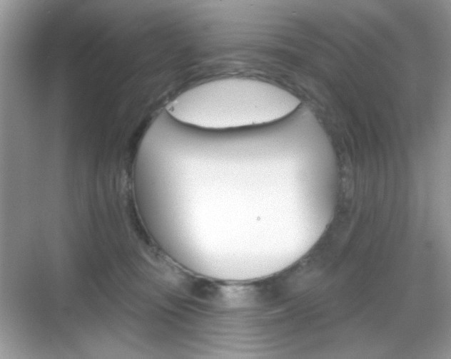 X0000069360371200605120922