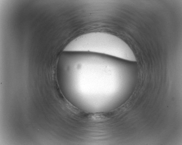 X0000069360372200605120922