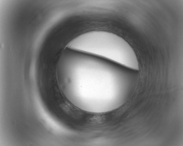 X0000069360383200605120923