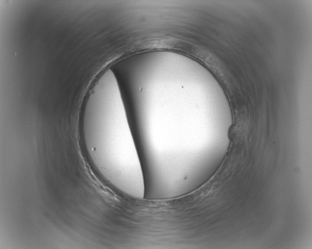 X0000069360386200605120922