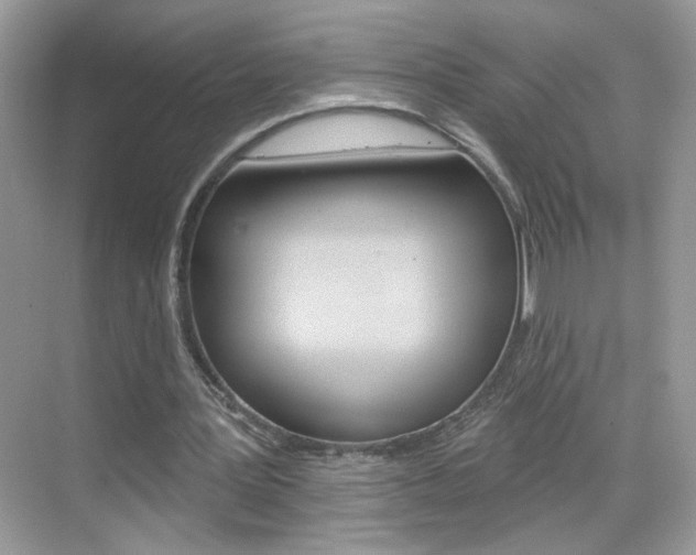 X0000069360387200605120922