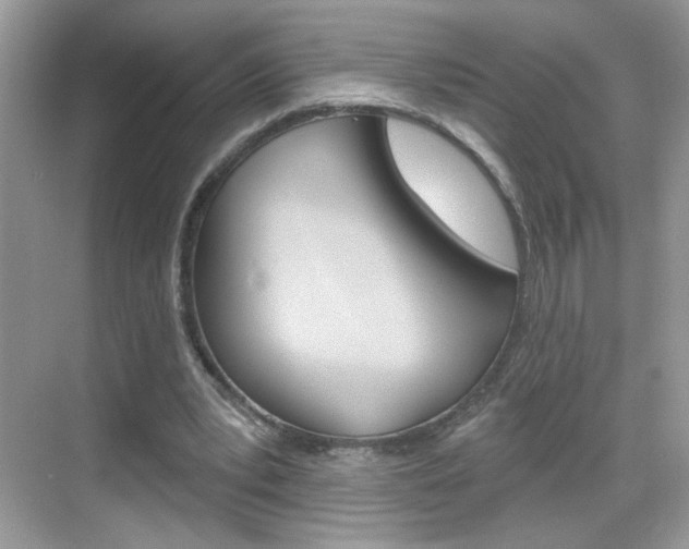 X0000069360391200605120922