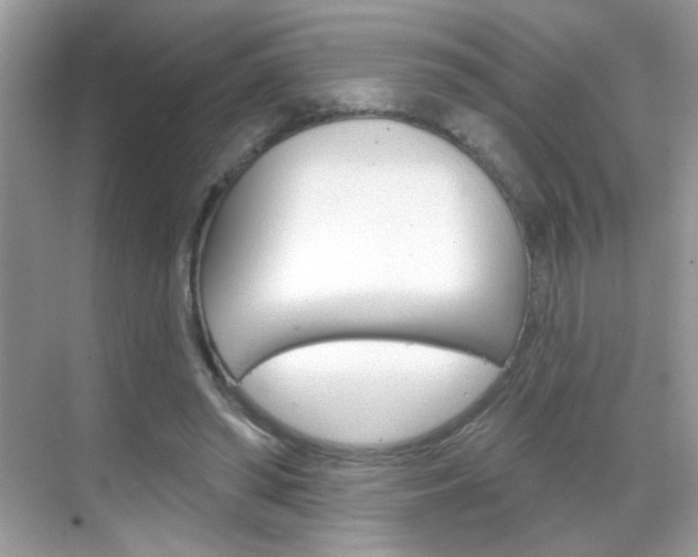 X0000069360398200605120922