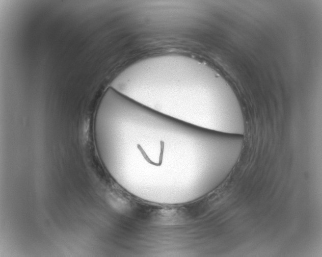 X0000069360406200605120921