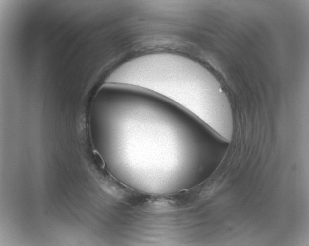 X0000069360407200605120921