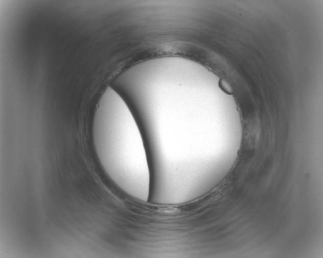 X0000069360410200605120921