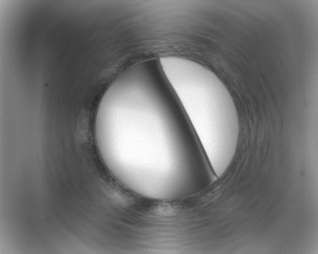 X0000069360416200605120921
