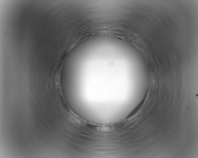 X0000069360419200605120921