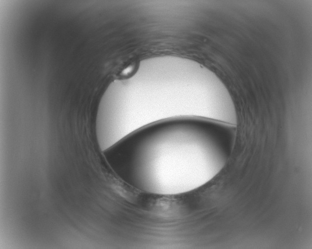 X0000069360420200605120921
