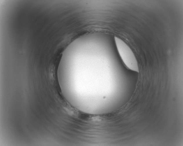 X0000069360423200605120921