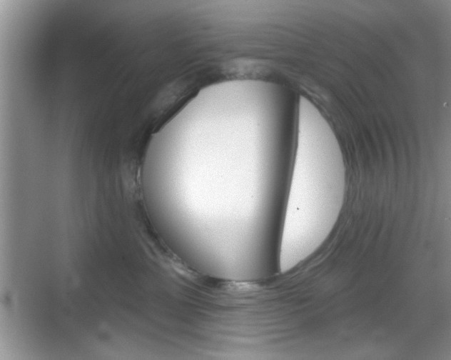 X0000069360429200605120921