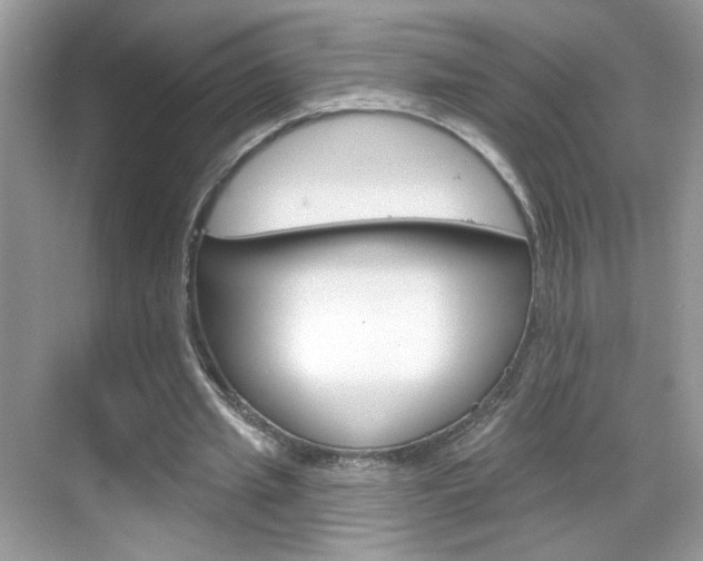 X0000069360437200605120920