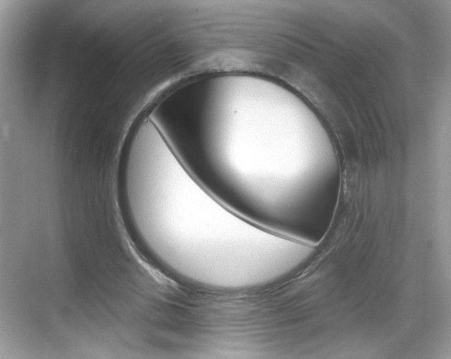 X0000069360438200605120920