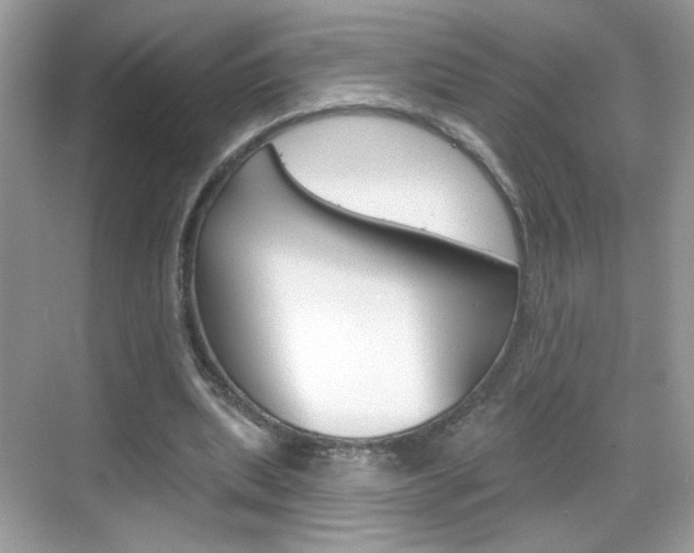 X0000069360439200605120920