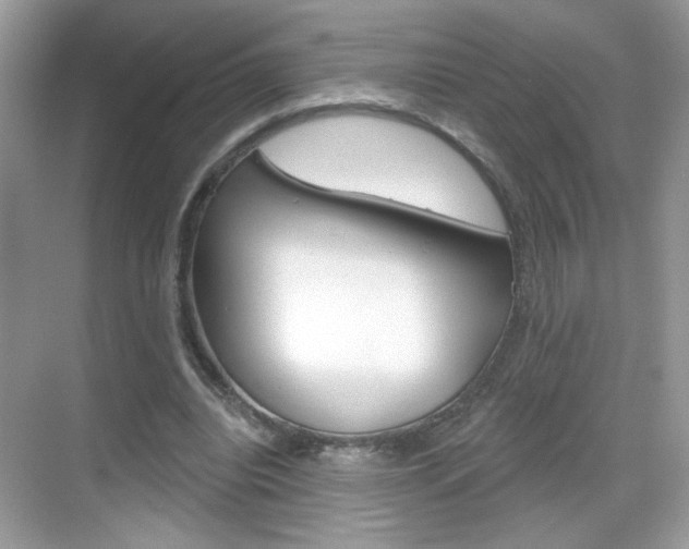 X0000069360440200605120920