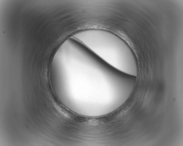 X0000069360441200605120920