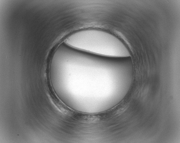 X0000069360443200605120920