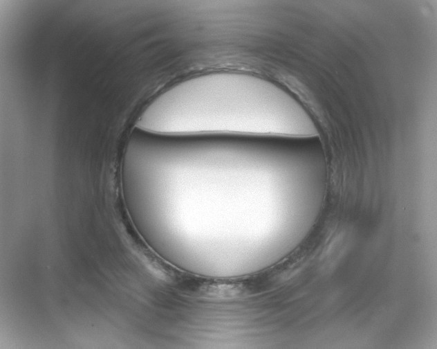 X0000069360449200605120920