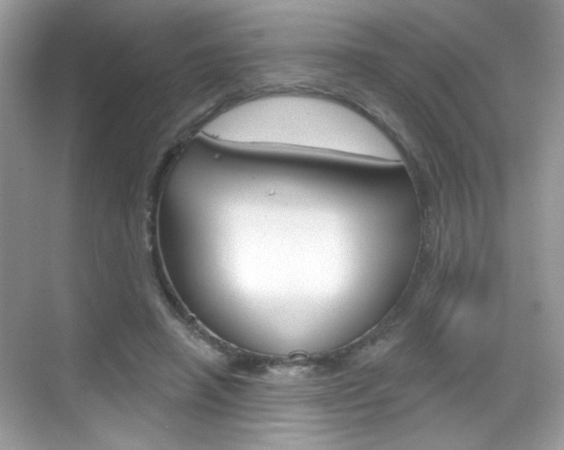 X0000069360450200605120920