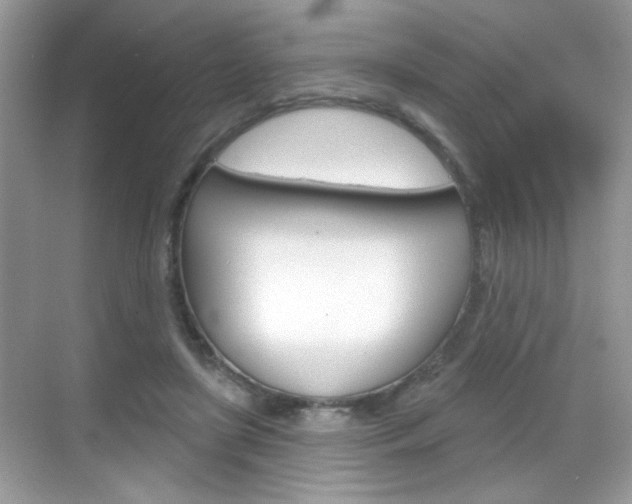 X0000069360451200605120920