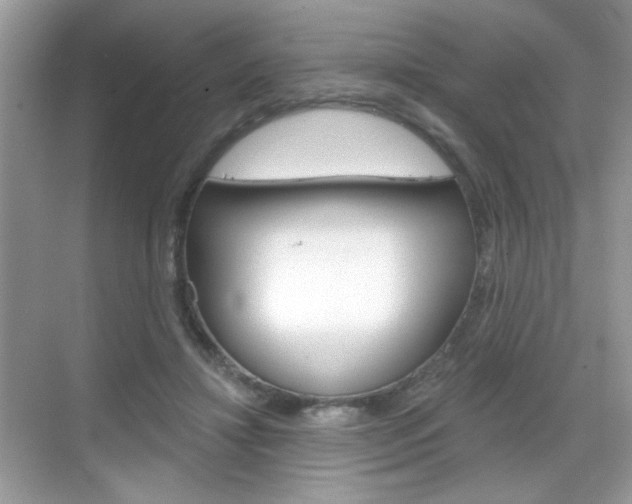 X0000069360452200605120920