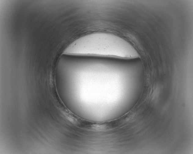 X0000069360457200605120921