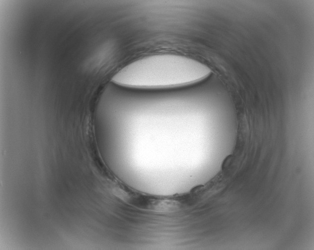 X0000069360463200605120921