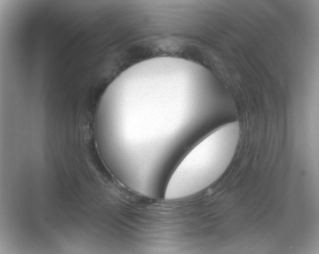 X0000069360464200605120921