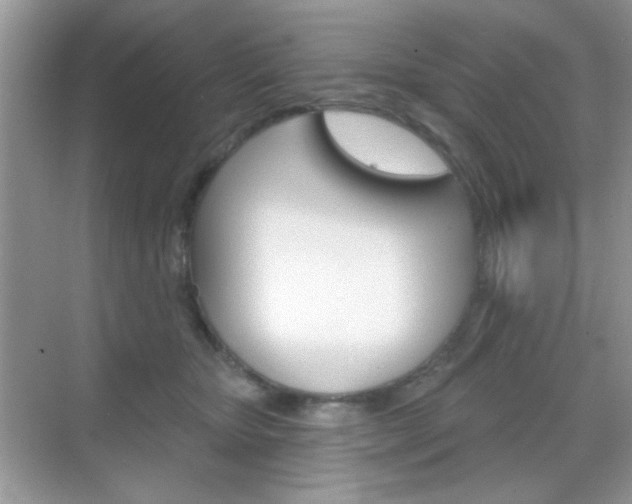 X0000069360467200605120921