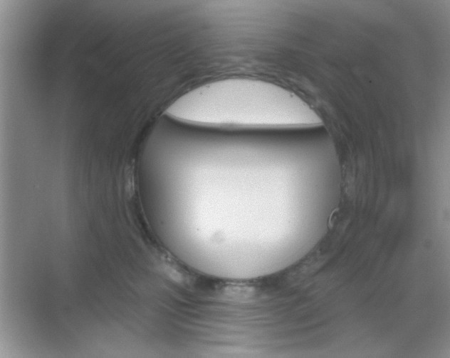 X0000069360471200605120921