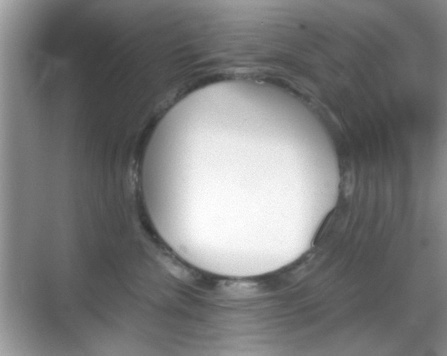 X0000069360476200605120921