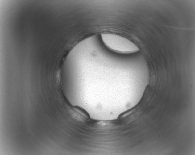 X0000069360477200605120921