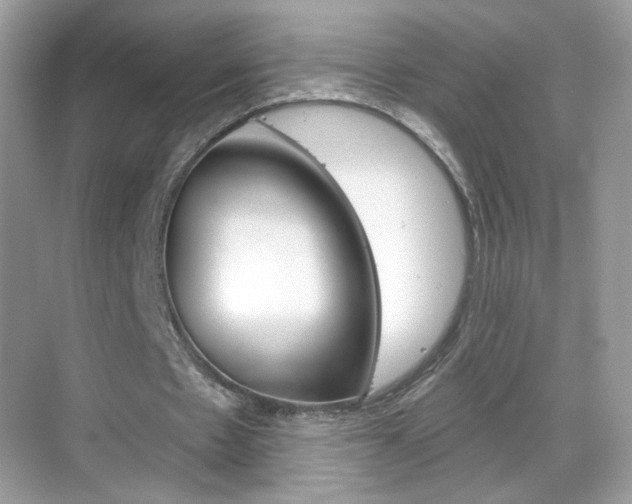 X0000069360481200605120920