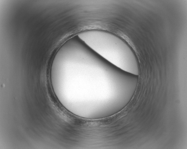 X0000069360482200605120920