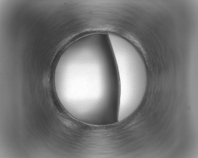 X0000069360483200605120920
