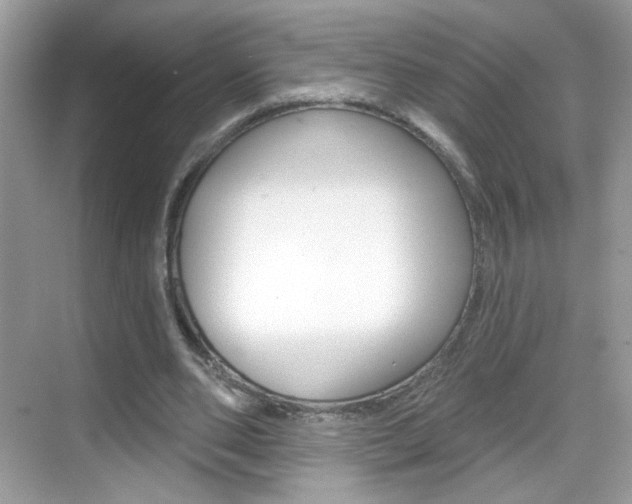 X0000069360486200605120920