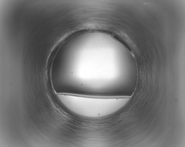 X0000069360488200605120920