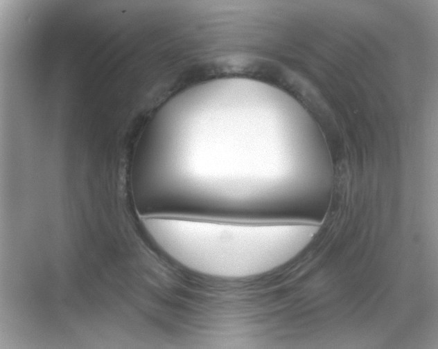X0000069360509200605120920
