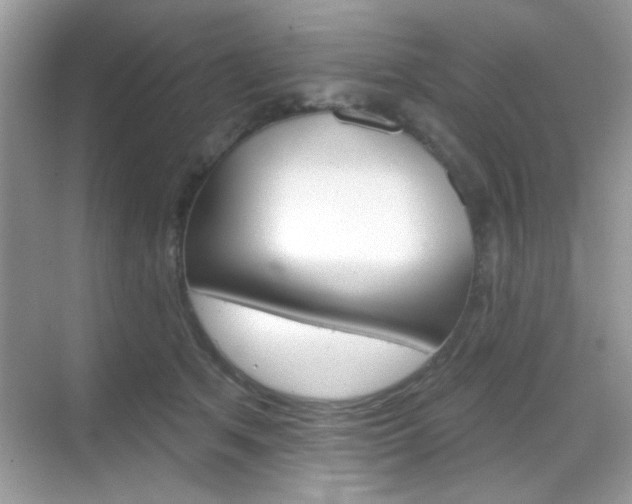 X0000069360513200605120920