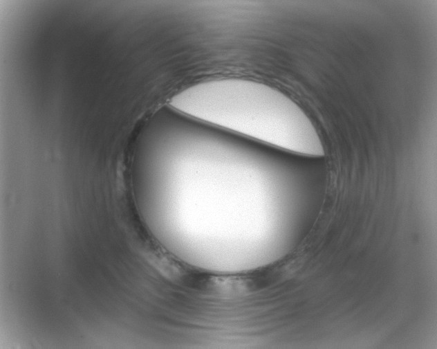 X0000069360520200605120919