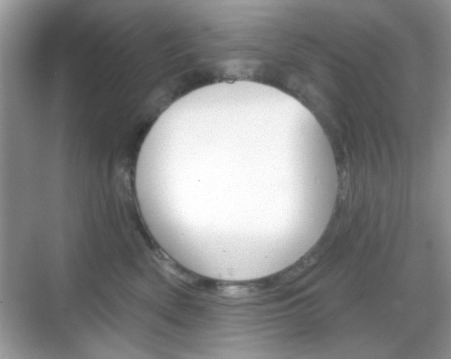 X0000069360522200605120919