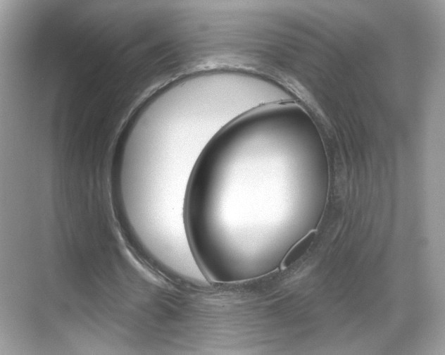 X0000069360530200605120919