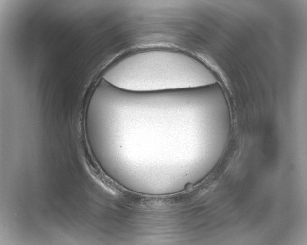 X0000069360533200605120919