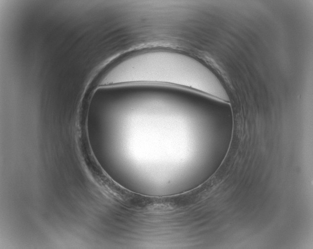 X0000069360536200605120919